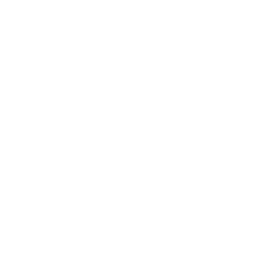 winter icon
