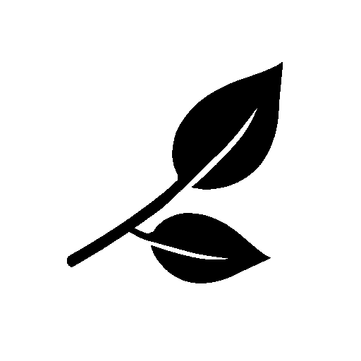 winter icon